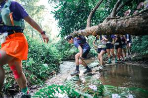 BIB: 
                            <button type="button" onclick="openModal(25458720)" class="btn btn-primary btn-sm float-right btn-popup" data-toggle="modal" data-target=".modal-high-quality">
                        <i class="fas fa-shopping-cart"></i> Add to Cart
                    </button>
                                            <button type="button" onclick="isThisMe(25458720, true)" class="btn btn-success btn-sm float-right btn-popup btn-isme hidden" data-toggle="tooltip" data-placement="bottom" title="นี่คือรูปของคุณใช่ไหม คลิกที่นี่เพื่อเอาเข้าอัลบั้ม">
                        <i class="fas fa-plus"></i> Add to album
                    </button>
                    <button type="button" onclick="isThisMe(25458720, false)" class="btn btn-warning btn-sm float-right btn-popup btn-isnotme hidden">
                        <i class="fas fa-ban"></i> Remove from album
                    </button>